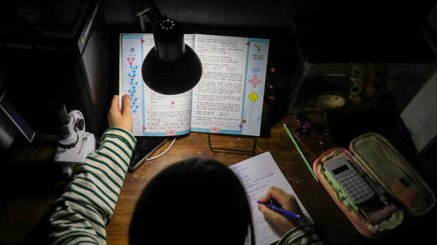 Минпросвещения России предложило запретить готовые домашние задания