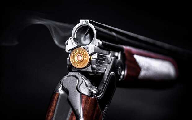 Стрельба из ружья