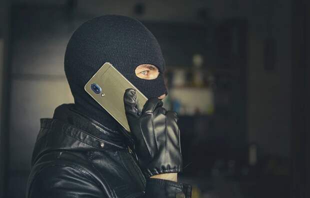 Российских дачников предупредили о новой схеме мошенничества с "зимними" платежами