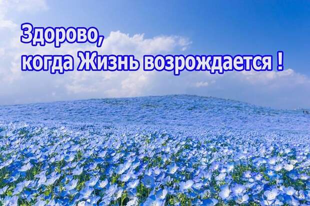 НЕ ХОЧЕШЬ ЗАБОЛЕТЬ РАКОМ? ИЗМЕНИ СВОИ ПРИВЫЧКИ, ПОКА НЕ ПОЗДНО…