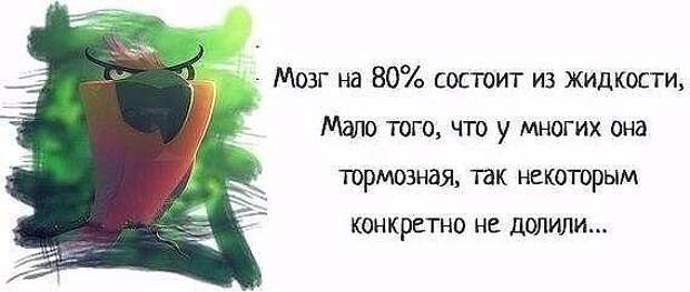 image (10) (568x241, 29Kb)