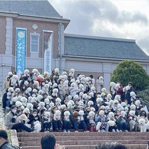 Подборка прикольных картинок