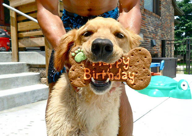 pets-that-have-better-birthday-parties-than-you-40-570dfda980dd9__700