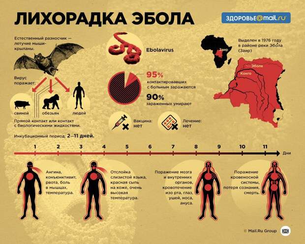 Африка. Жизнь на континенте, какая она?