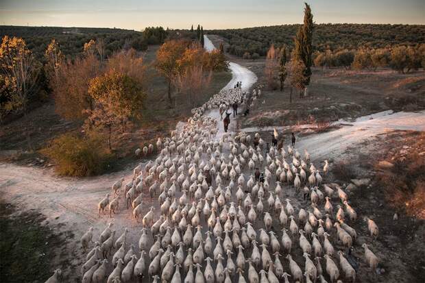 Финалисты экологического фотоконкурса Atkins Ciwem Environmental Photographer of the Year 2016