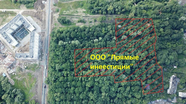 Почему жителей проигнорировали во время общественных слушаний по Суздальскому лесу? 