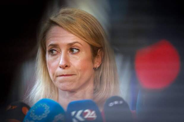 Константинов назвал слова Каи Каллас о «нападениях» России «гадостью»