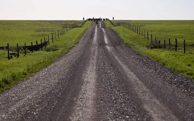 Дорога на ранчо