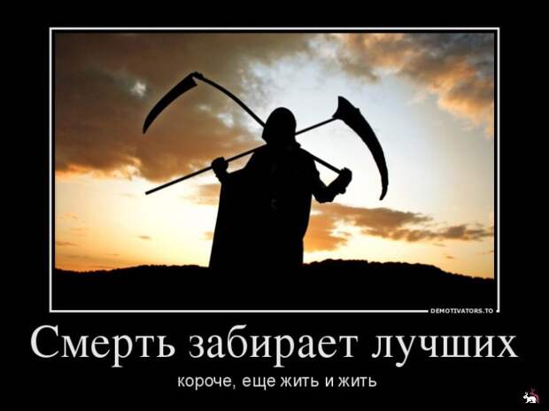 Блоги.  -  