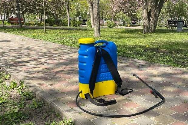 В Тамбове подписали контракт на обработку городских территорий от клещей