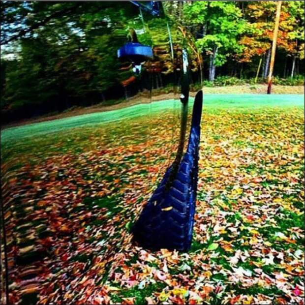 Показалось!