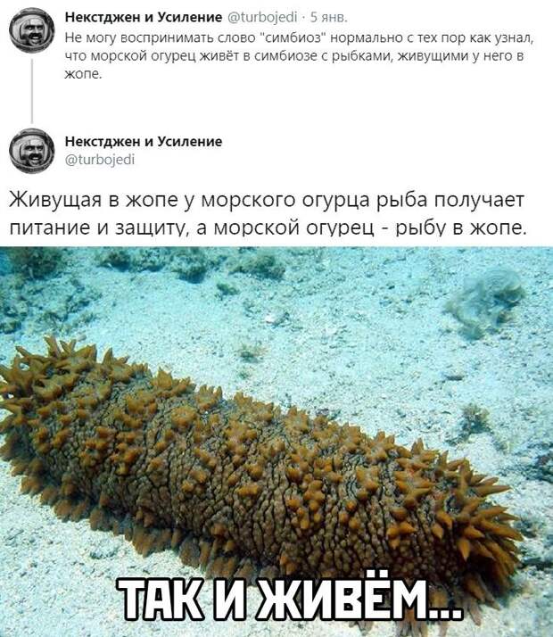 kartinok-prikolnyh-podborka-kartinki-smeshnye-kartinki-fotoprikoly