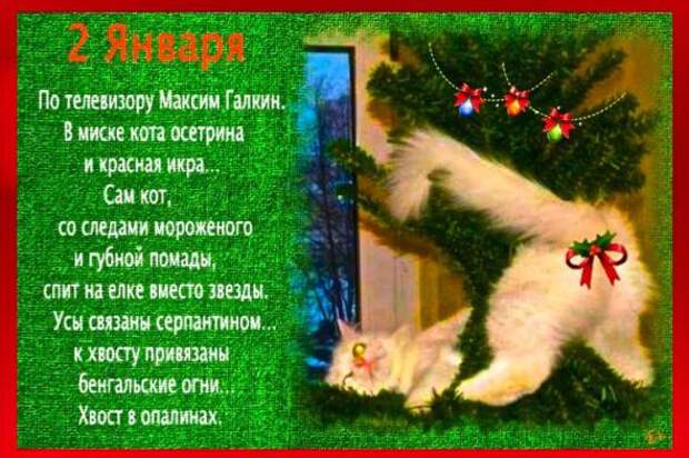 Весело, весело, встретим Новый Год ! Ох !