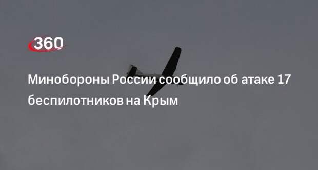 Российские беспилотники. Бпла 17 сентября 2024. Бпла байрактар. Грифон 17 бпла. Rq 180 беспилотник.