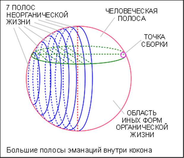 Проект точка сборки