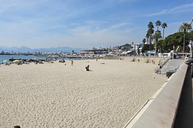 «Я нацист»: раскрыта жуткая тайна суперъяхты соратника Трампа