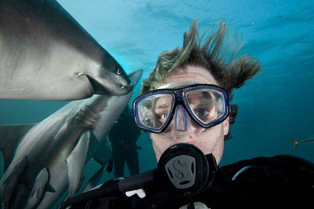 Селфи с акулами в Южной Африке