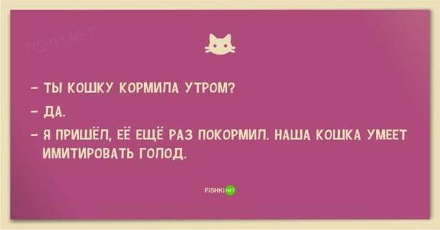 25 смешных анекдотов про кошек и котов анекдот, животные, юмор
