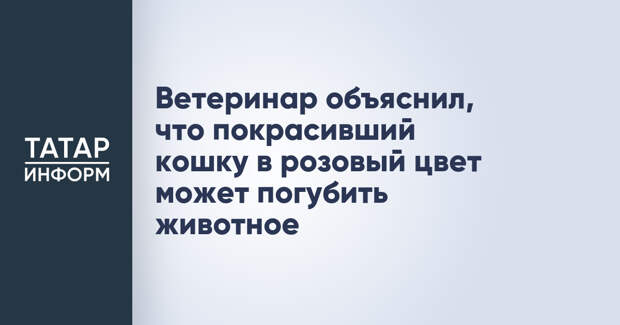 Ветеринар объяснил, что покрасивший кошку в розовый цвет может погубить животное