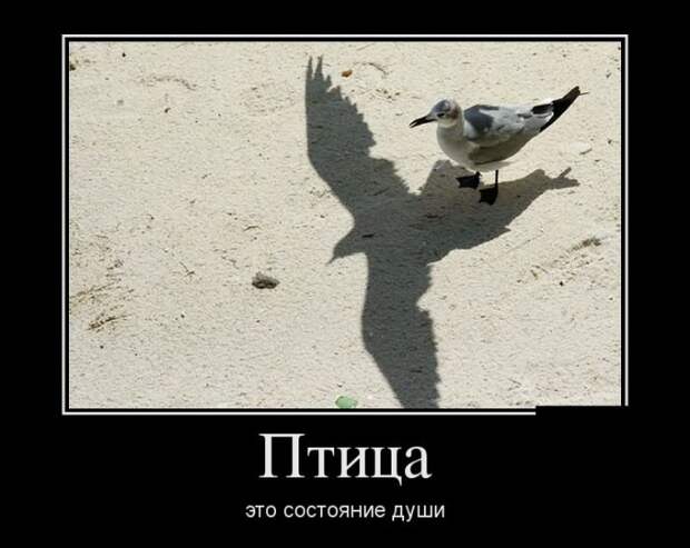 Демотиваторы (29.06.16) Демотиваторы (29.06.16)