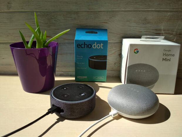 Amazon Echo Dot vs. Google Home Mini — какой помощник лучше?