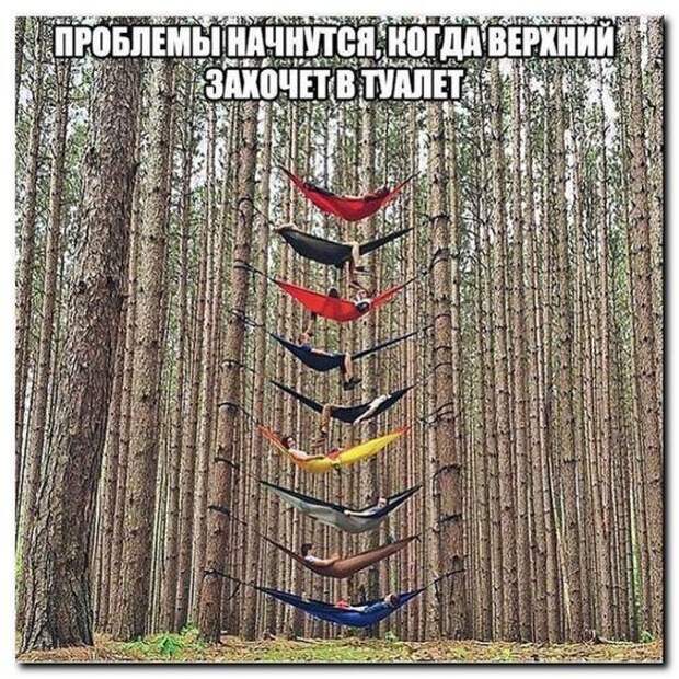 Подборка супер клевых картинок и мемов