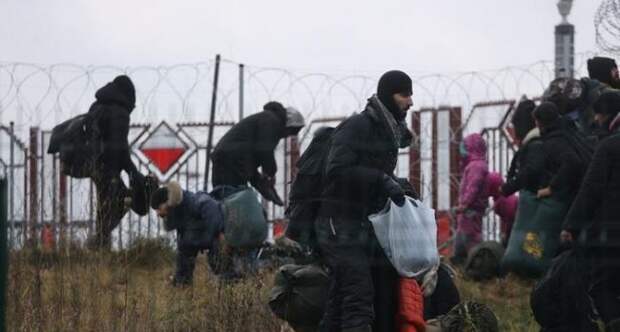 Пограничники Белоруссии и Польши начали совместно решать миграционный кризис