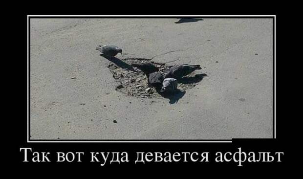 Демотиваторы (30 фото)