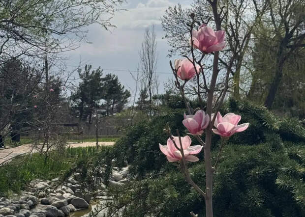 Синоптики огорошили заявлением: морозы в марте возвращаются — новый прогноз Гидрометцентра