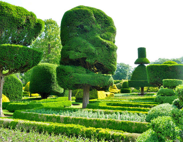 levenshall 7 Сад Левенс Холл