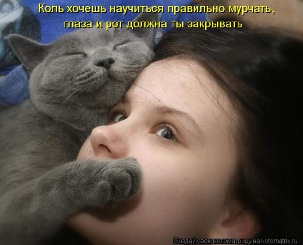 Новые котоматрицы с классным задором (30 фото)