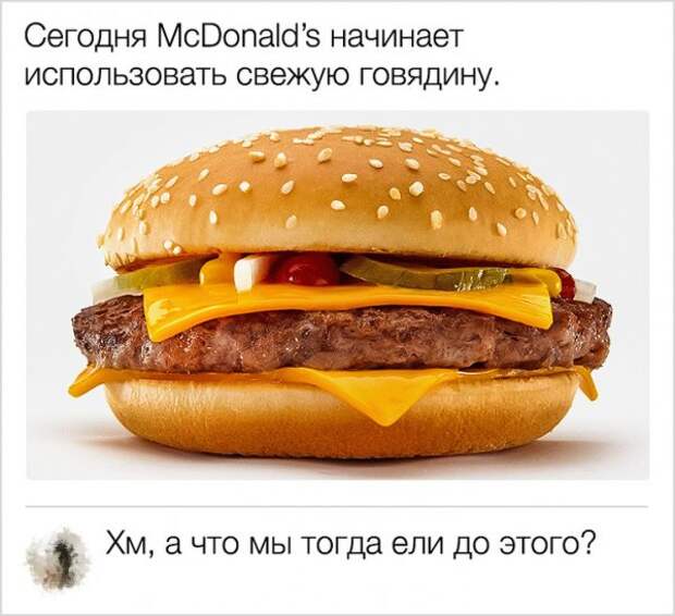 Пользователи сети, которые своими комментариями испытывают карму на прочность