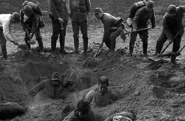 9 сильных исторических фото, на которых отразилась вся человеческая жестокость