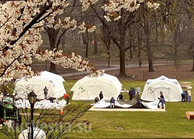 Эпидемия коронавируса в США: взрывной рост заболевших и бессилие властей