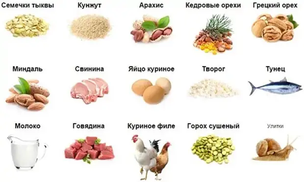 6 правил питания для здоровых сосудов и обзор продуктов для их укрепления и очищения