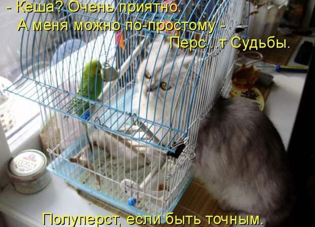 Мысли вслух :)