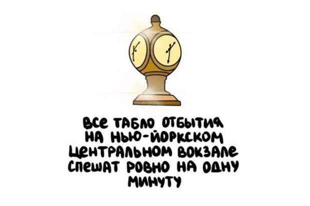 Короткие интересные факты обо всем
