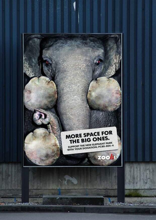 рекламные кампании о животных раскрывающие правду (27)