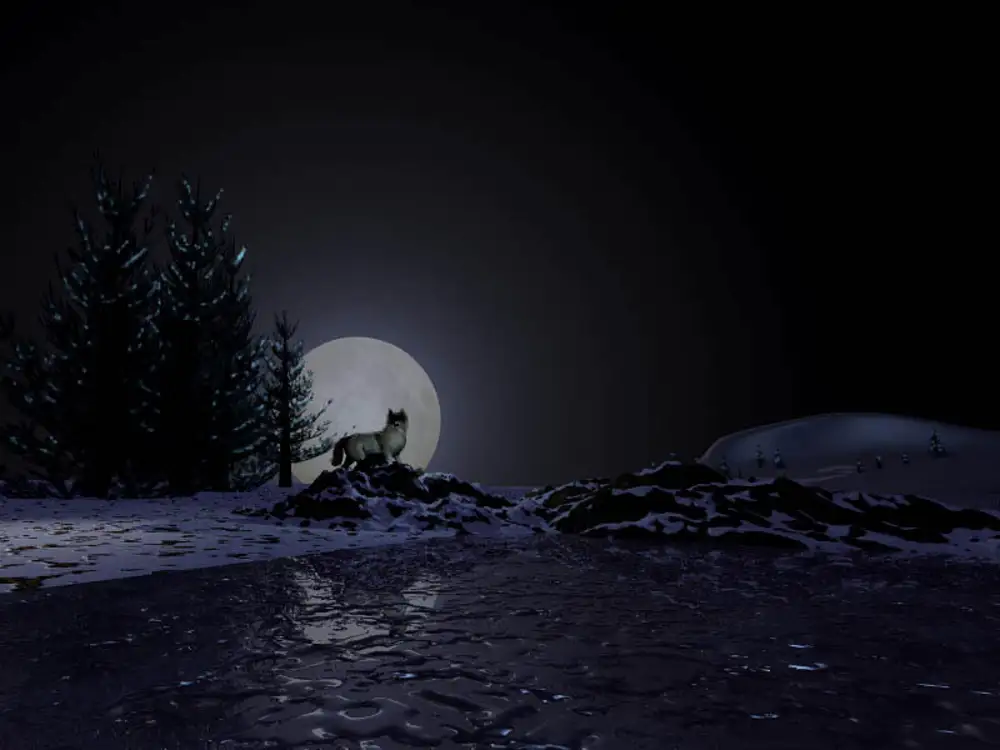 Луна зимой ночью. Луна зимой. Волк в ночи. Лунная ночь зимой. Зима лес ночь Луна.