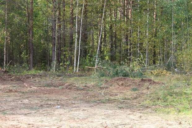 За апрель на территории Петербурга и Ленобласти пропали 299 человек