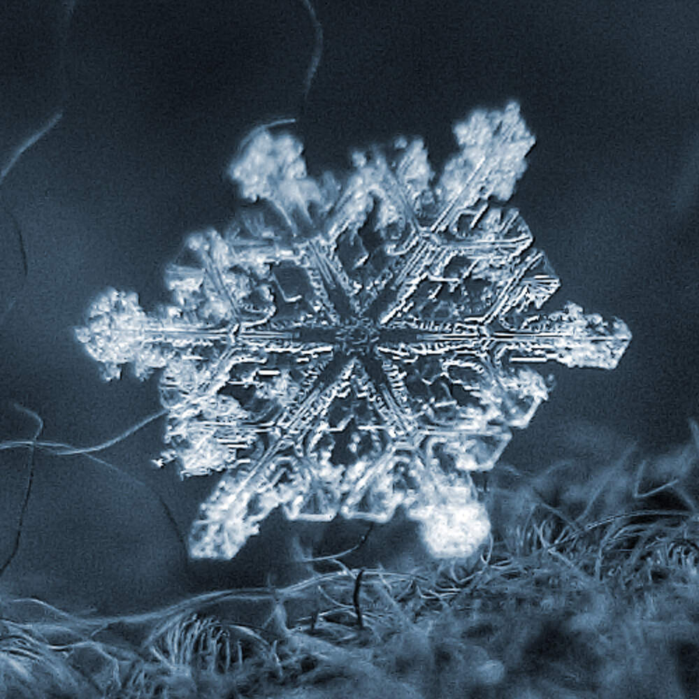 Снежинок село. Снежинка. Самые красивые снежинки. Кристаллизация снежинки. Снежинка под микроскопом.