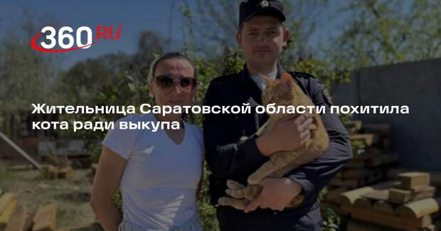 Жительница Саратовской области похитила кота ради выкупа