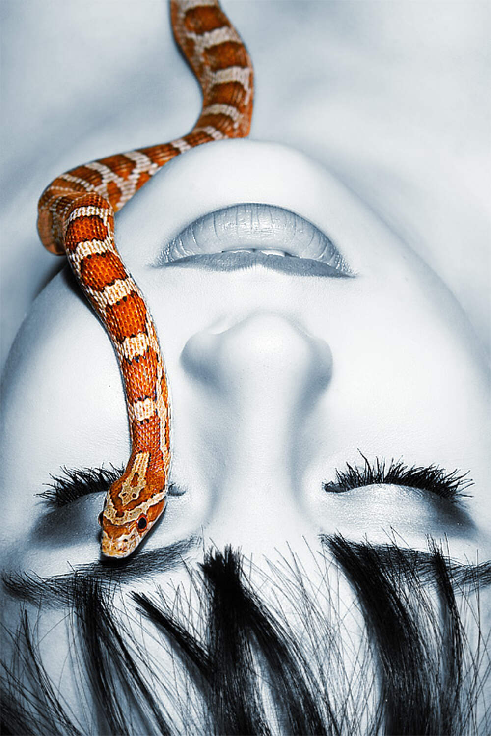 фото змеи на аватарку