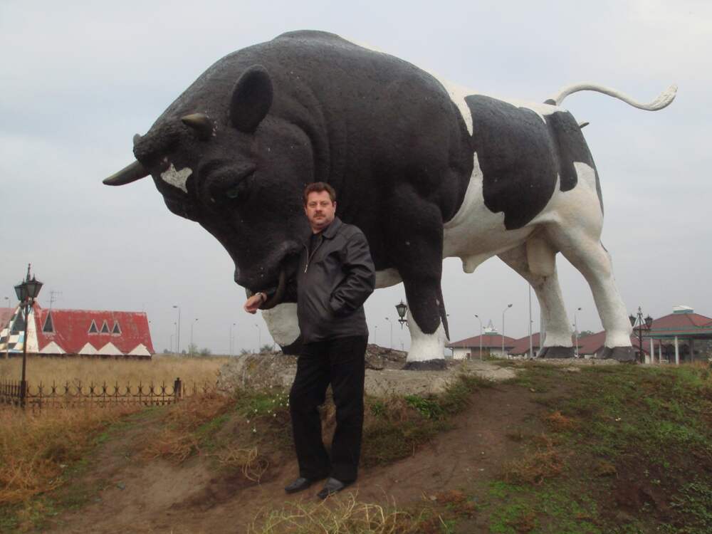 Бык фурри арт. Muscle furry минотавр. Золотой телец китай. Азиатский бык. Фан 24 бык.