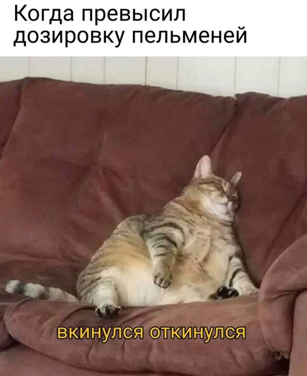 Смешные картинки 27 апреля 2021