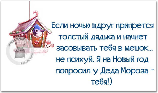 Немного новогодней «Правды жизни» (30 картинок)
