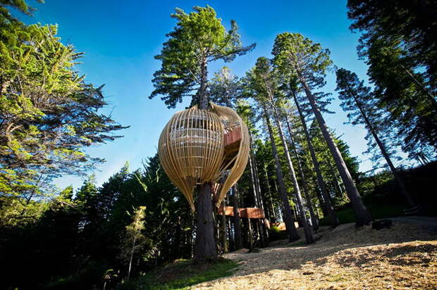 7. "Желтый Дом" на дереве, от Pacific Environments Architects Ltd. Дом расположен в Окленде, Новая Зеландия и является рестораном, построенным на 40-метровом дереве. Диаметр дерева у основания – 1,7 метра.
