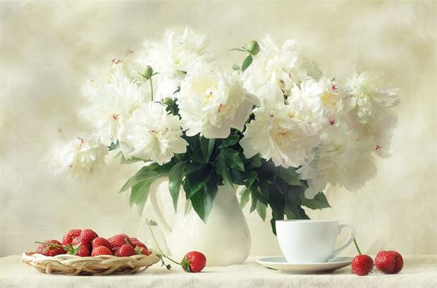 Картинки по запросу фото  натюрморты белые цветы