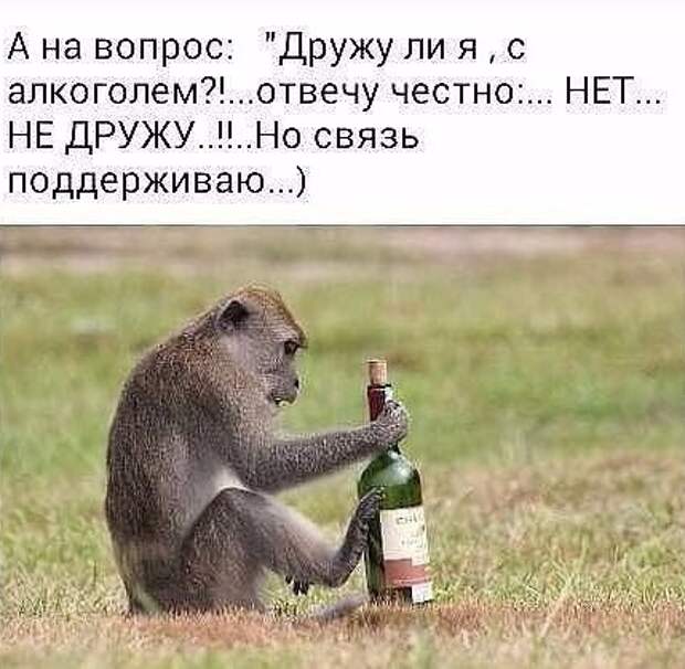 Подборка картинок и фотографий с надписями (10 фото)