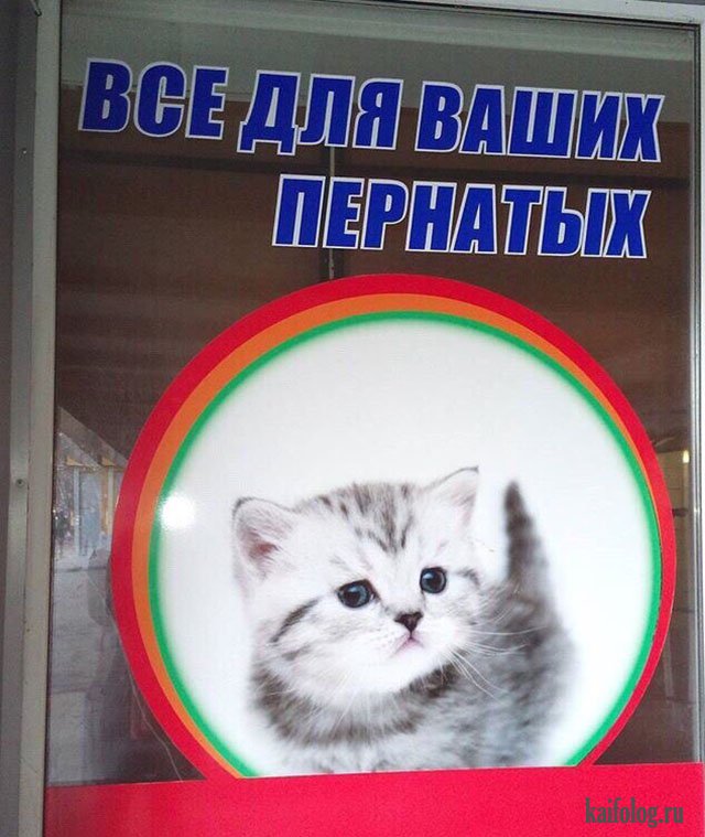 Русские приколы и маразмы (60 фото)